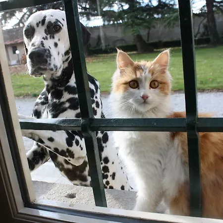 Cardellini Bed & Breakfast 4*