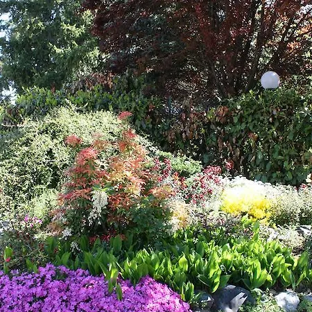 Bed & Breakfast Cardellini 4*