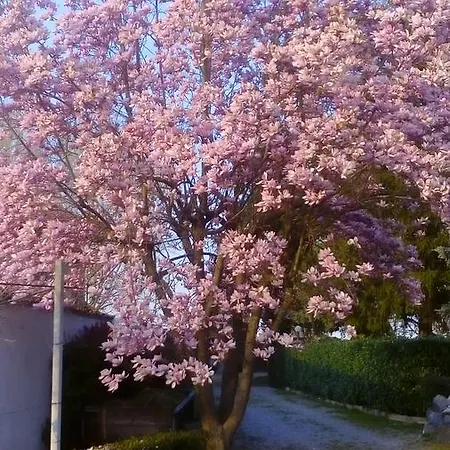 Bed & Breakfast Cardellini Savigliano