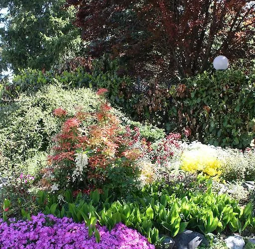 לינה וארוחת בוקר Cardellini 4*