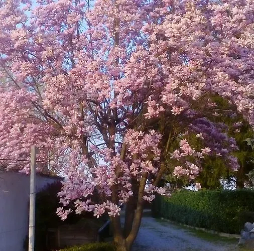 Bed and Breakfast Cardellini Savigliano